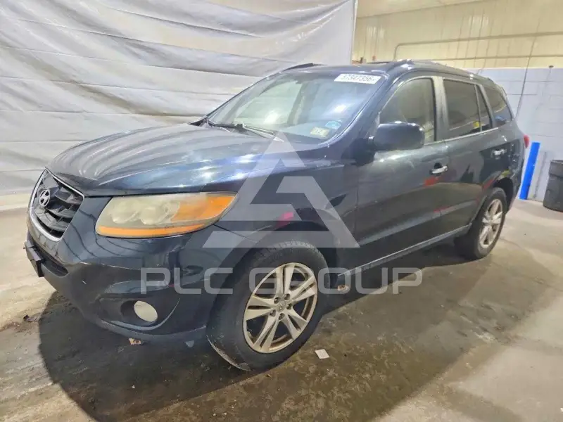 2010 Hyundai Santa Fe фото