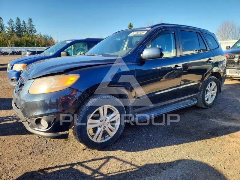 2010 Hyundai Santa Fe фото