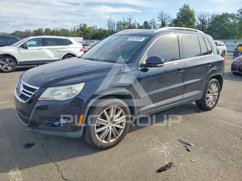 2010 Volkswagen Tiguan photo