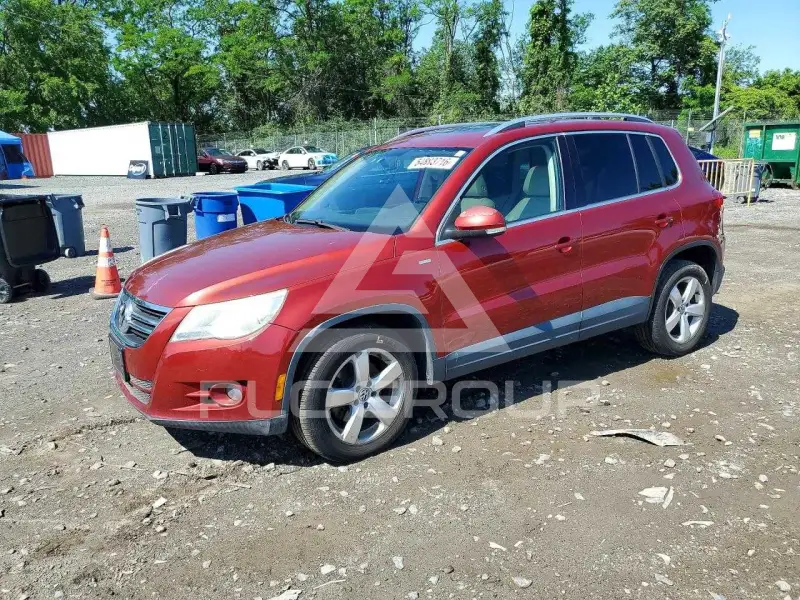 2010 Volkswagen Tiguan фото