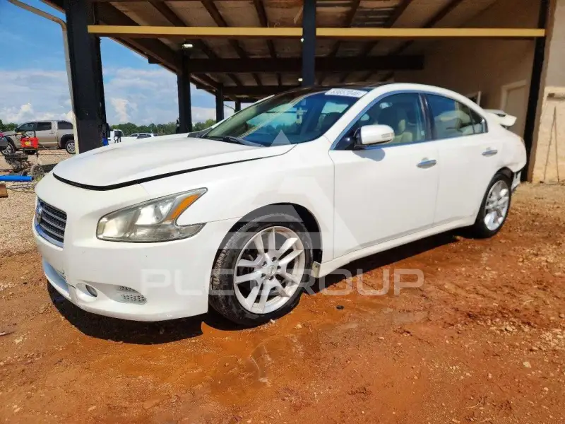 2011 Nissan MAXIMA photo