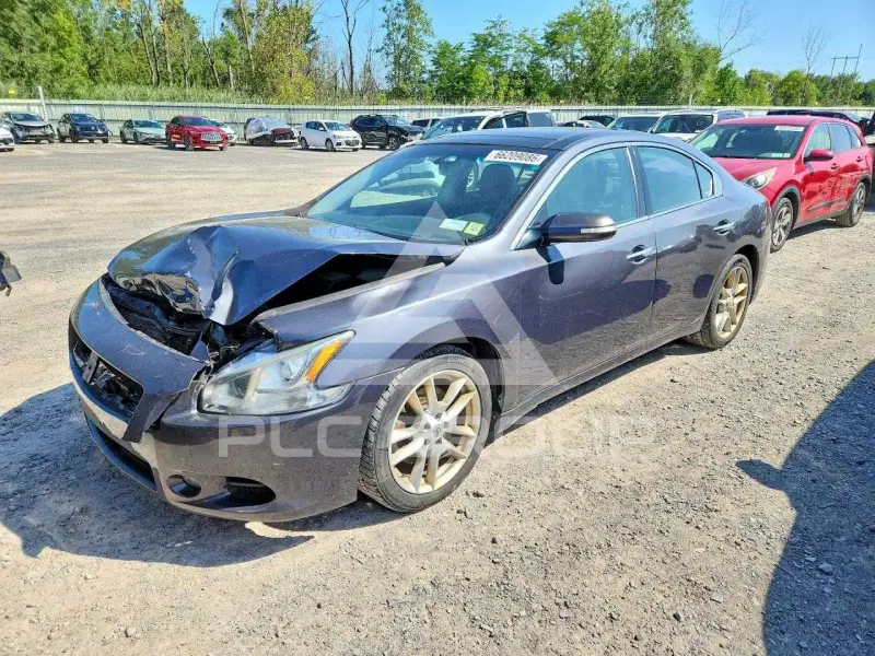2011 Nissan MAXIMA фото