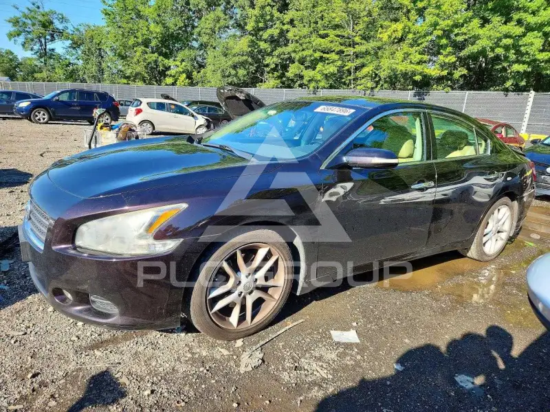 2011 Nissan MAXIMA photo
