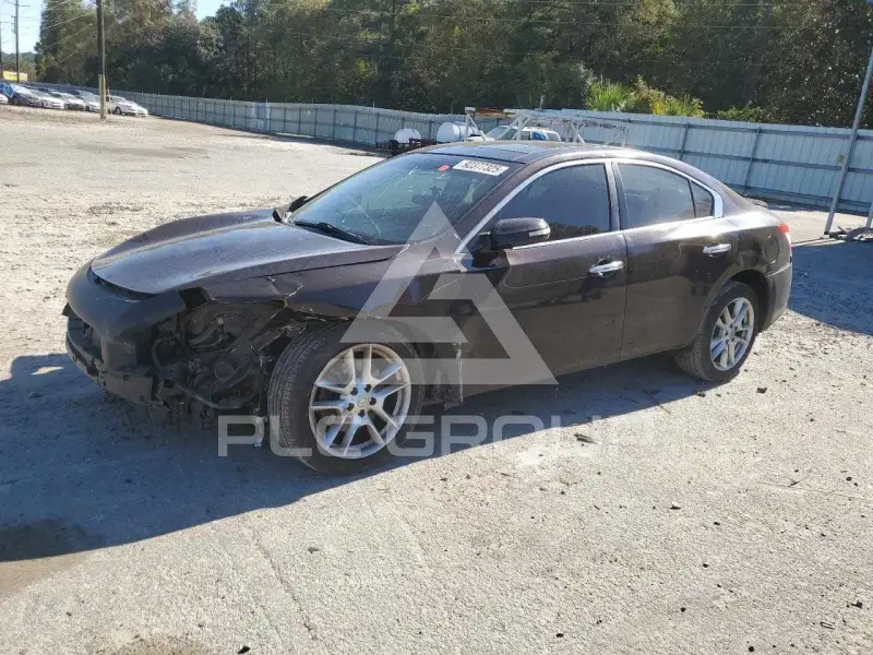 2011 Nissan MAXIMA photo