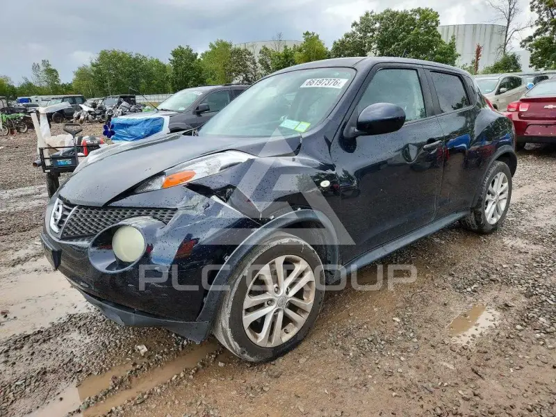 2011 Nissan Juke photo