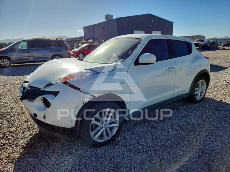 2011 Nissan Juke photo