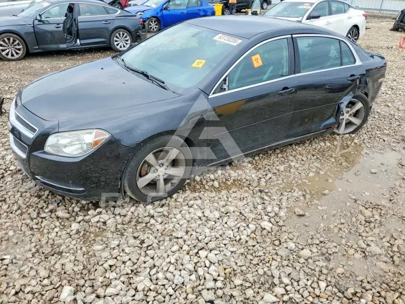 2011 Chevrolet Malibu фото