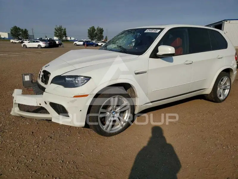 2011 BMW X5 фото