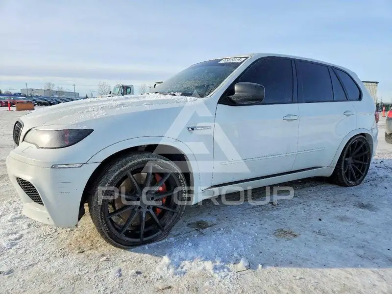 2011 BMW X5 фото