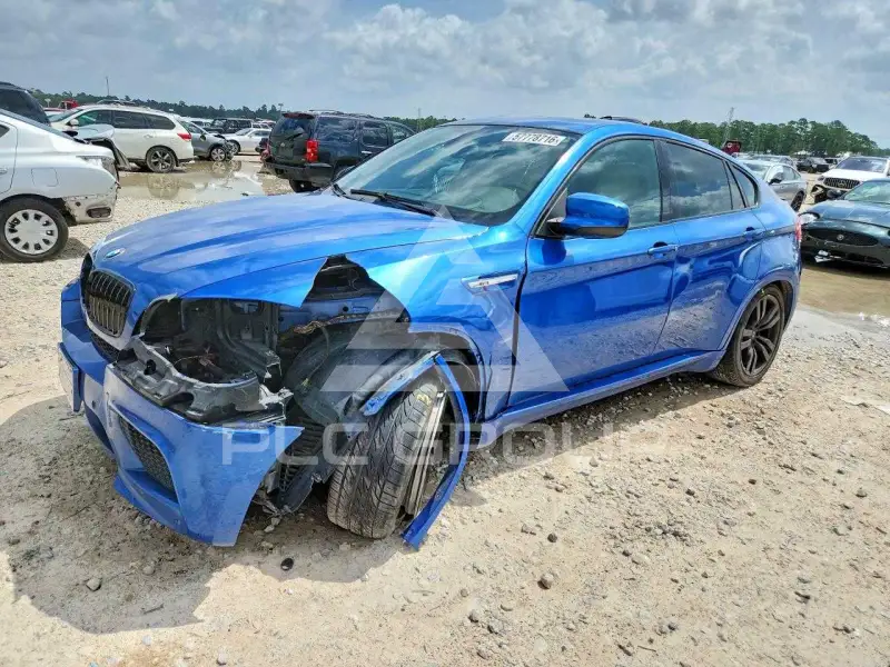 2011 BMW X6 фото