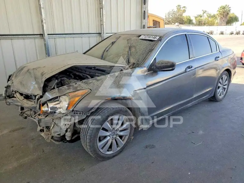 2011 Honda Accord photo
