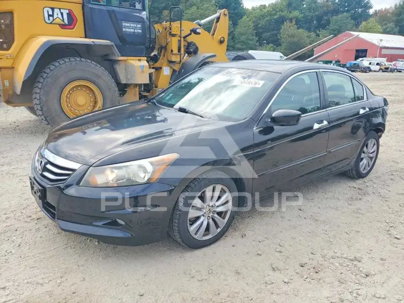 2011 Honda Accord photo