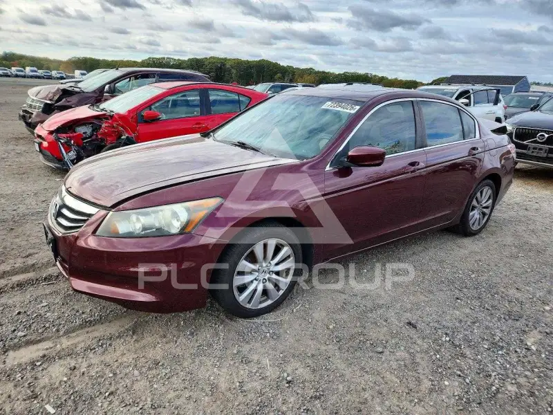 2011 Honda Accord photo
