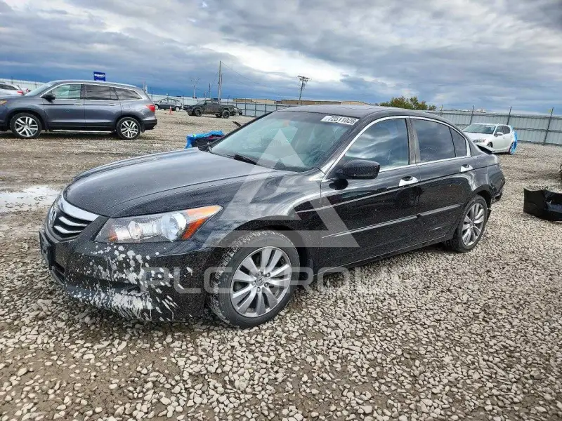 2011 Honda Accord photo