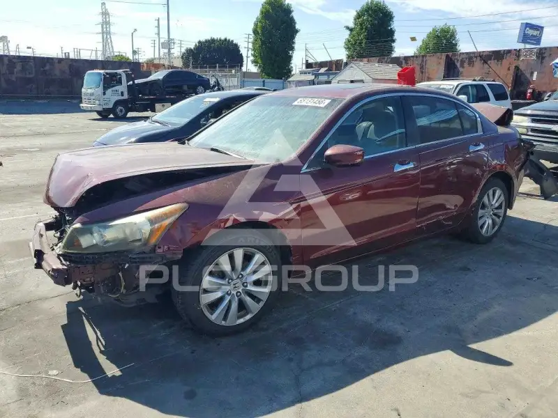 2011 Honda Accord photo