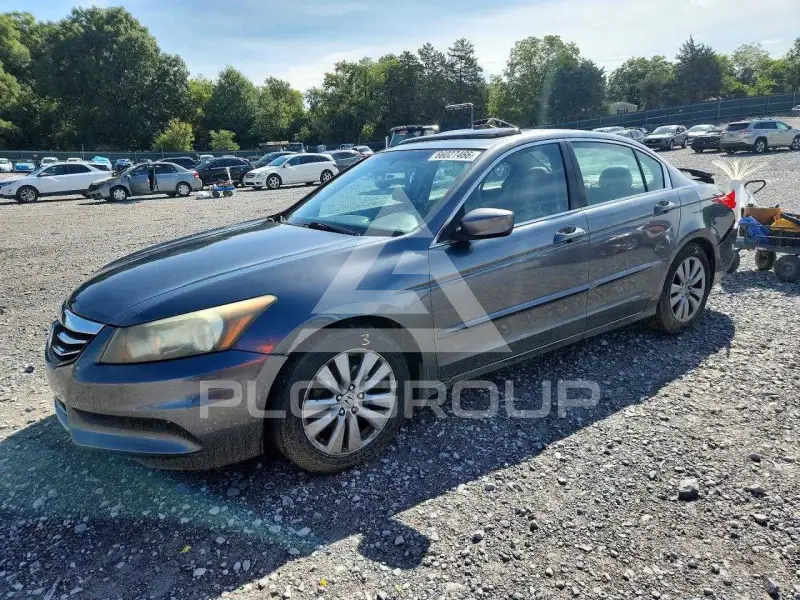 2011 Honda Accord photo