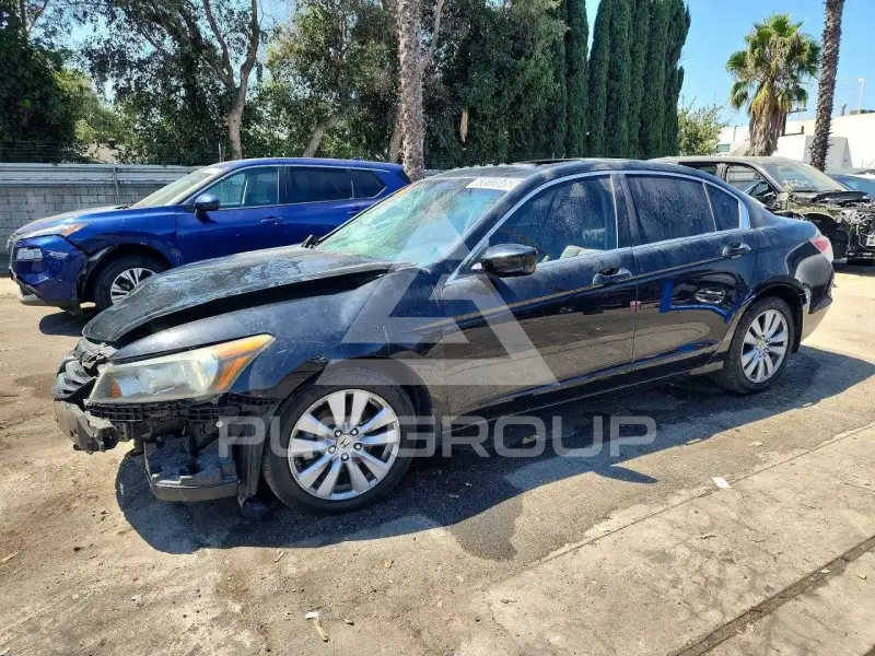 2011 Honda Accord фото