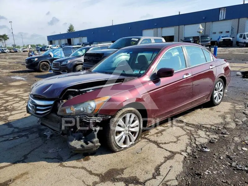 2011 Honda Accord photo