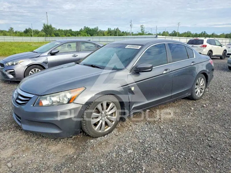 2011 Honda Accord фото