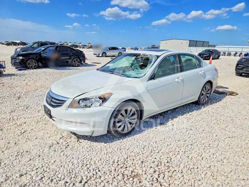 2011 Honda Accord фото