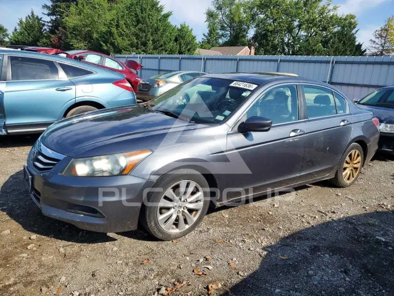 2011 Honda Accord photo