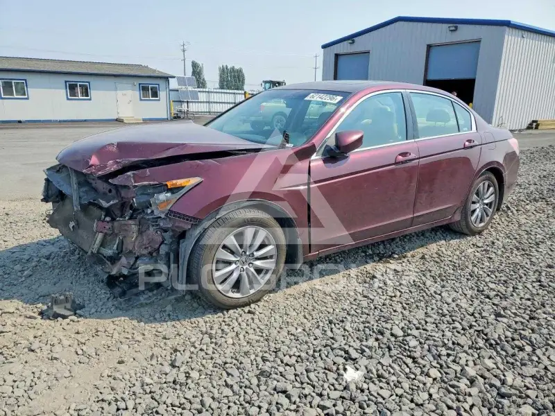 2011 Honda Accord фото