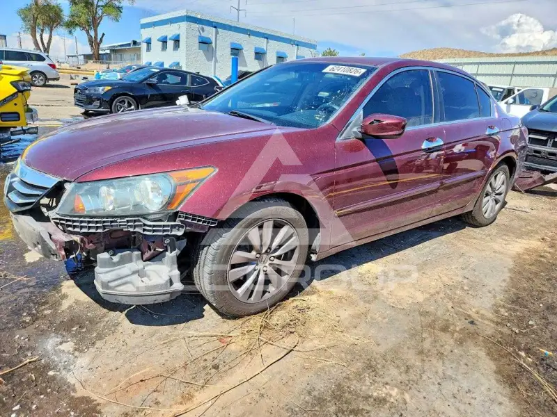2011 Honda Accord photo