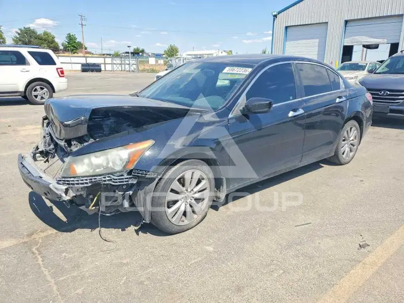 2011 Honda Accord photo