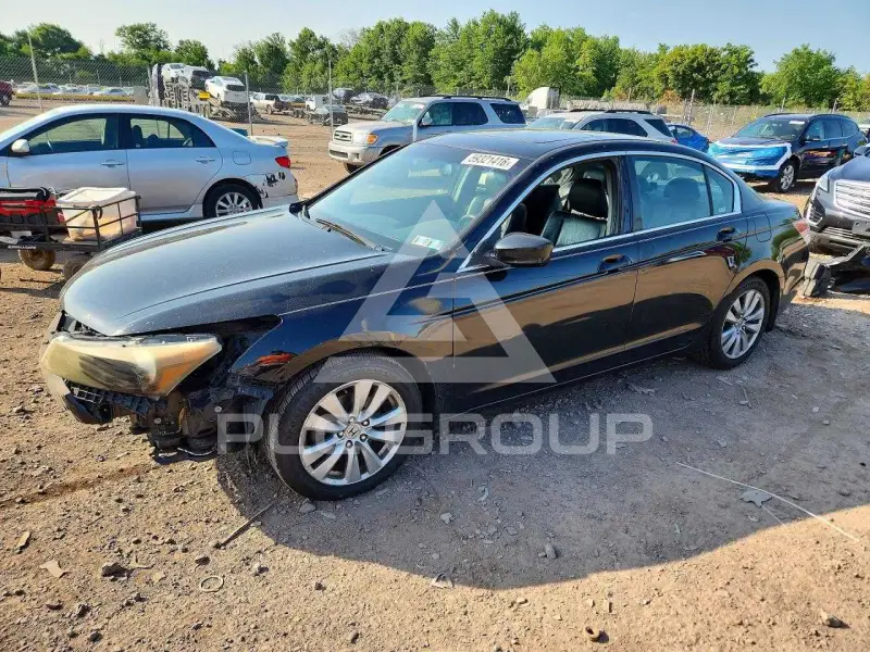 2011 Honda Accord фото