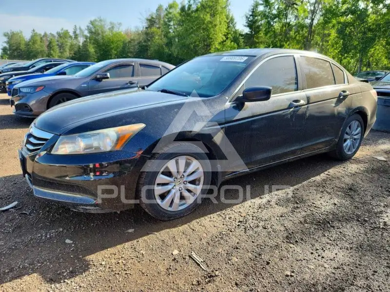 2011 Honda Accord фото