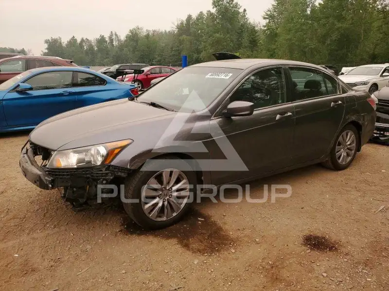 2011 Honda Accord фото