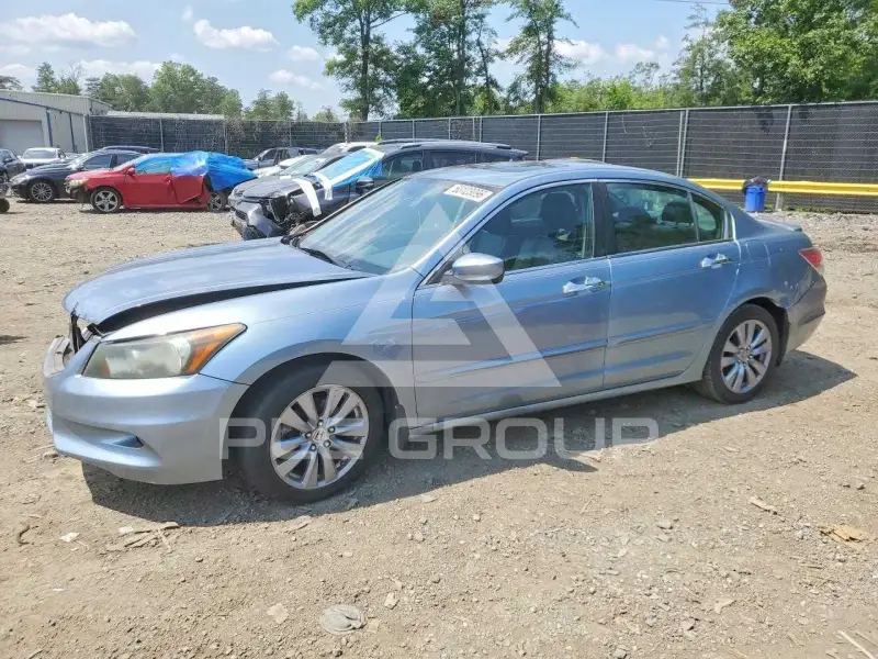 2011 Honda Accord photo