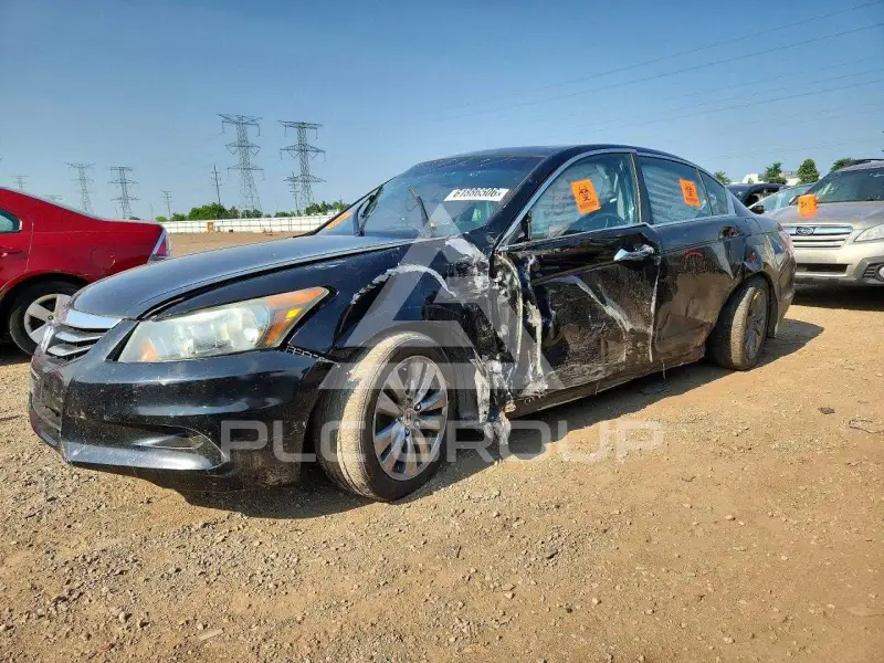 2011 Honda Accord photo