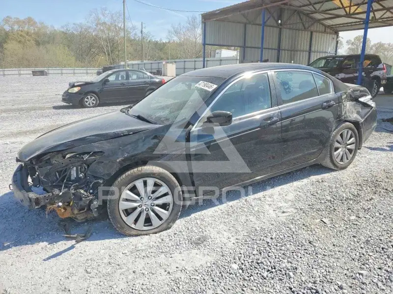 2011 Honda Accord фото