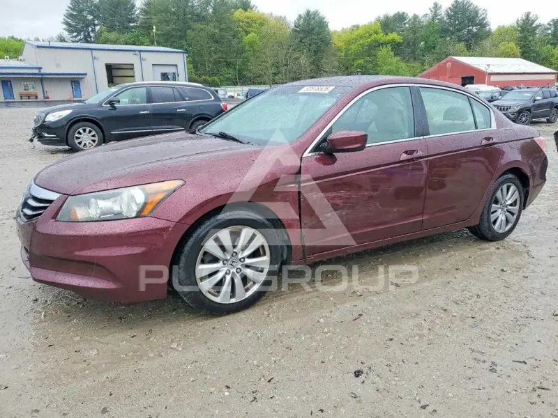 2011 Honda Accord photo