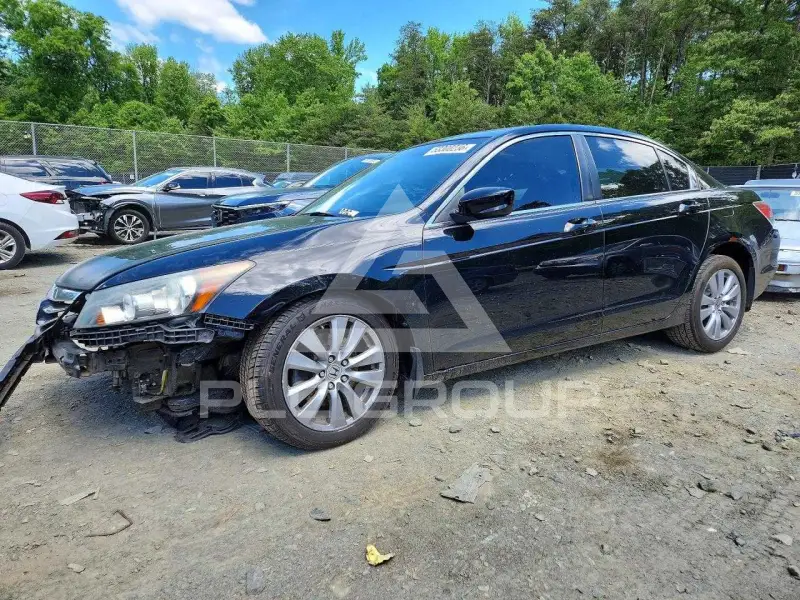 2011 Honda Accord фото