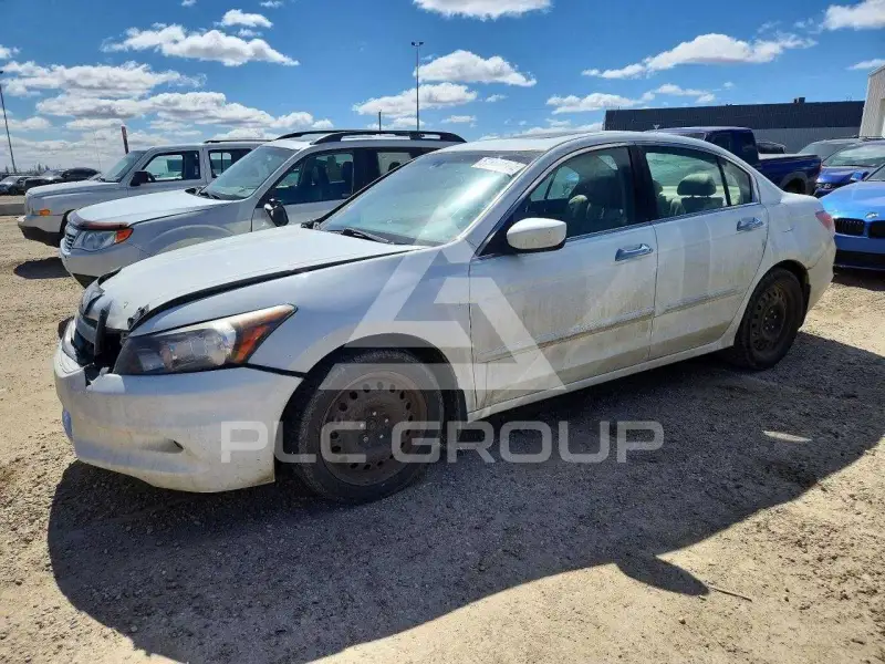 2011 Honda Accord photo