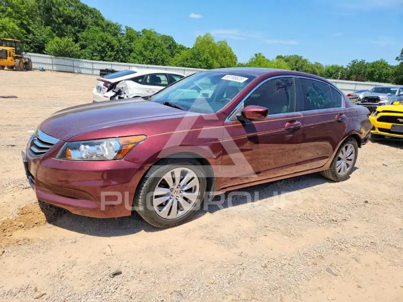2011 Honda Accord фото