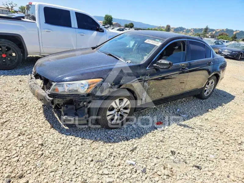 2011 Honda Accord photo