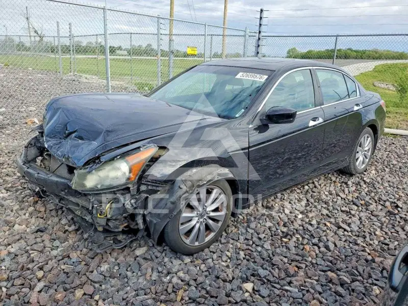 2011 Honda Accord photo
