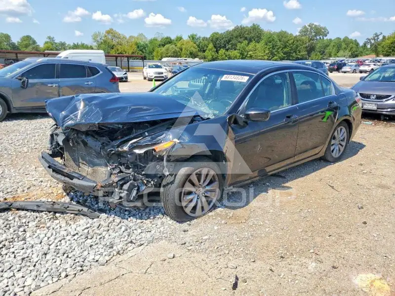 2011 Honda Accord photo