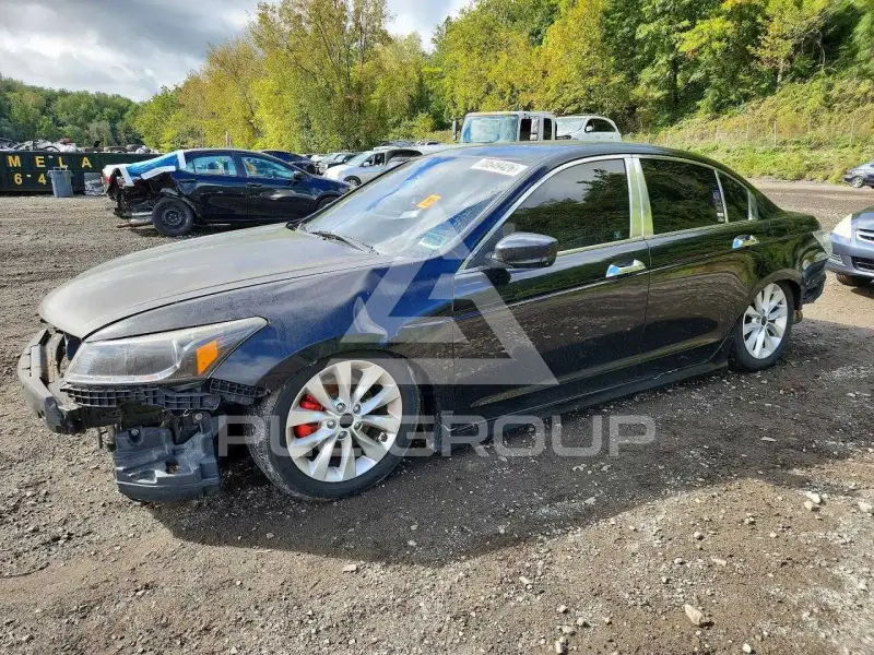 2011 Honda Accord photo