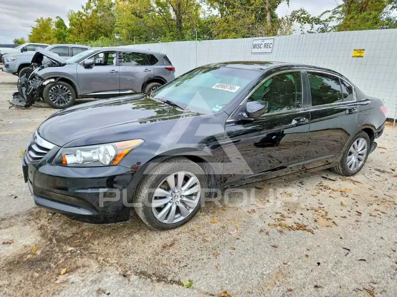 2011 Honda Accord photo
