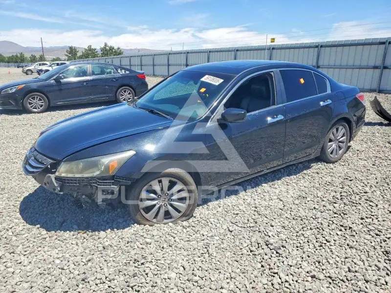 2011 Honda Accord photo