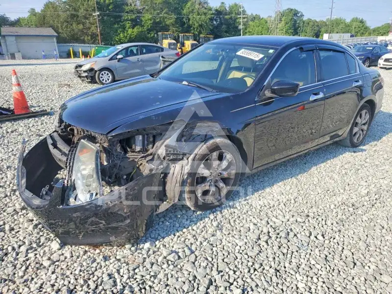 2011 Honda Accord фото