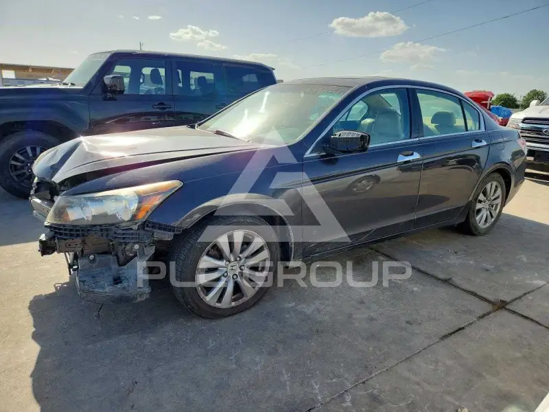 2011 Honda Accord фото