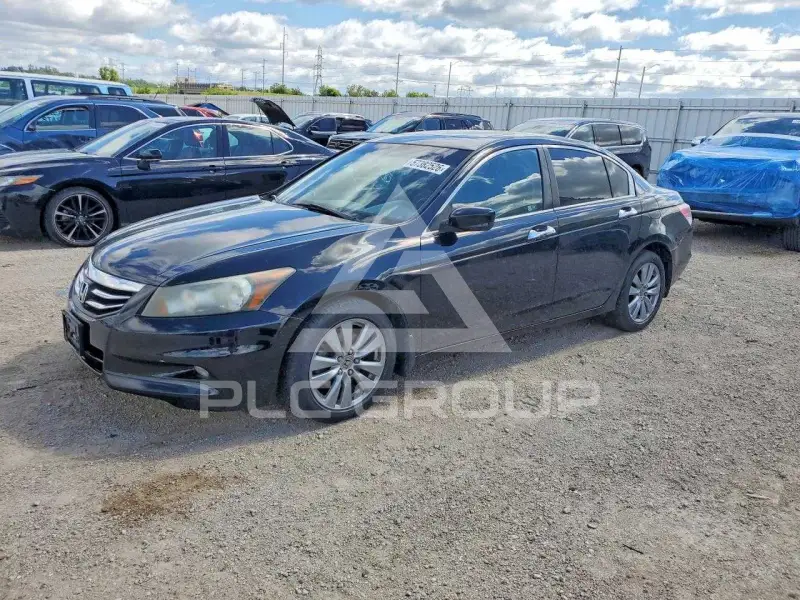 2011 Honda Accord photo