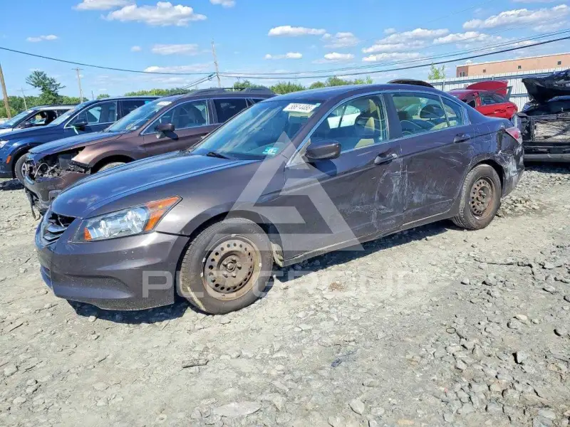 2011 Honda Accord photo