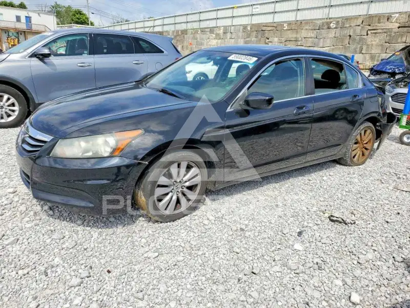 2011 Honda Accord фото