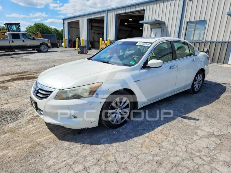2011 Honda Accord photo